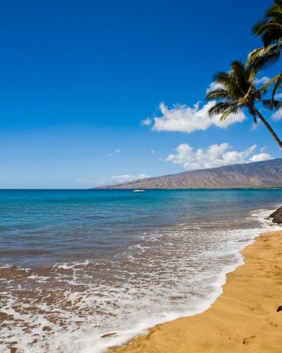 Гавайские каникулы